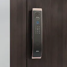 Face-Palm Recognition Door Locks