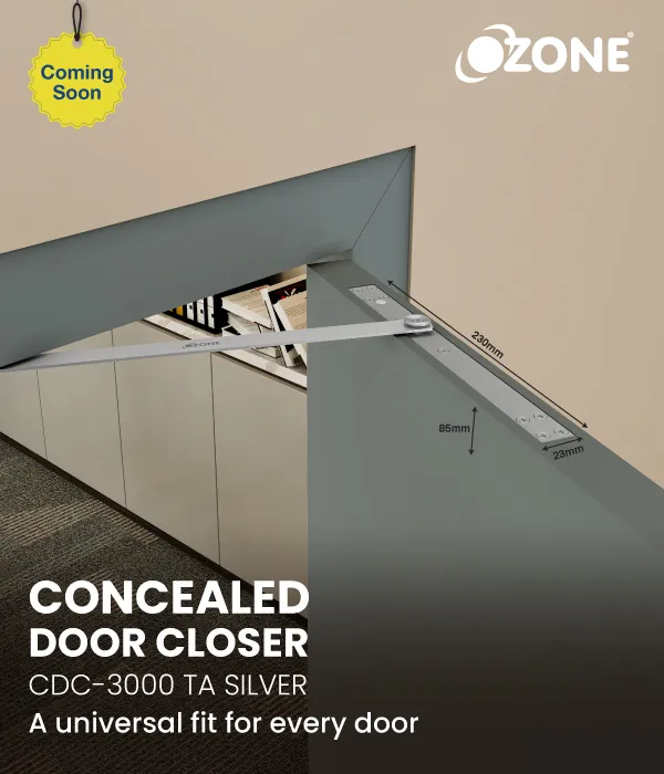 Concealed Door Closer-3000 TA Silver