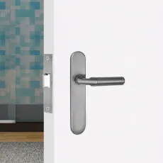 Bathroom Doors