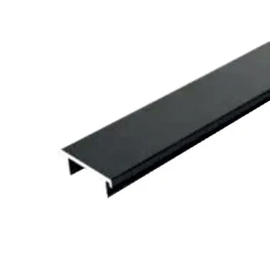 Cover Clip For 100 x 100 Access Control Panel